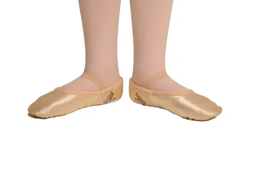 נ.בלט ס.שלמה סטיין ורוד P